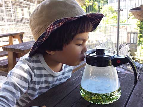 通信写真